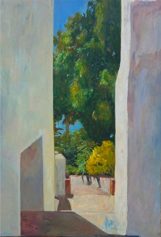 Hacia la Bahia, 2024
